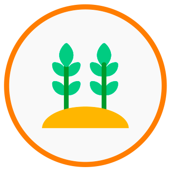 Plant trees product icons