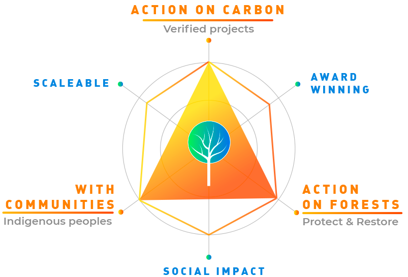 Action on Carbon, action on forests with communities process diagram 