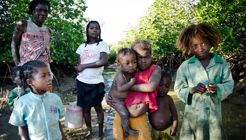 Mangrove-reserves_Blue-Forest_carbonoffsetting