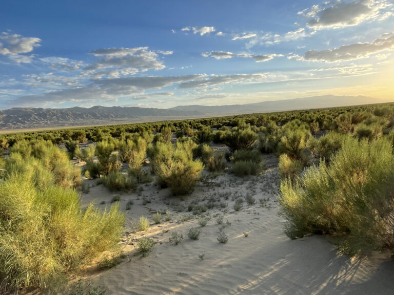 The Mongolian landscape where the Pastures, Conservation, Climate Action project works with nomadic herders