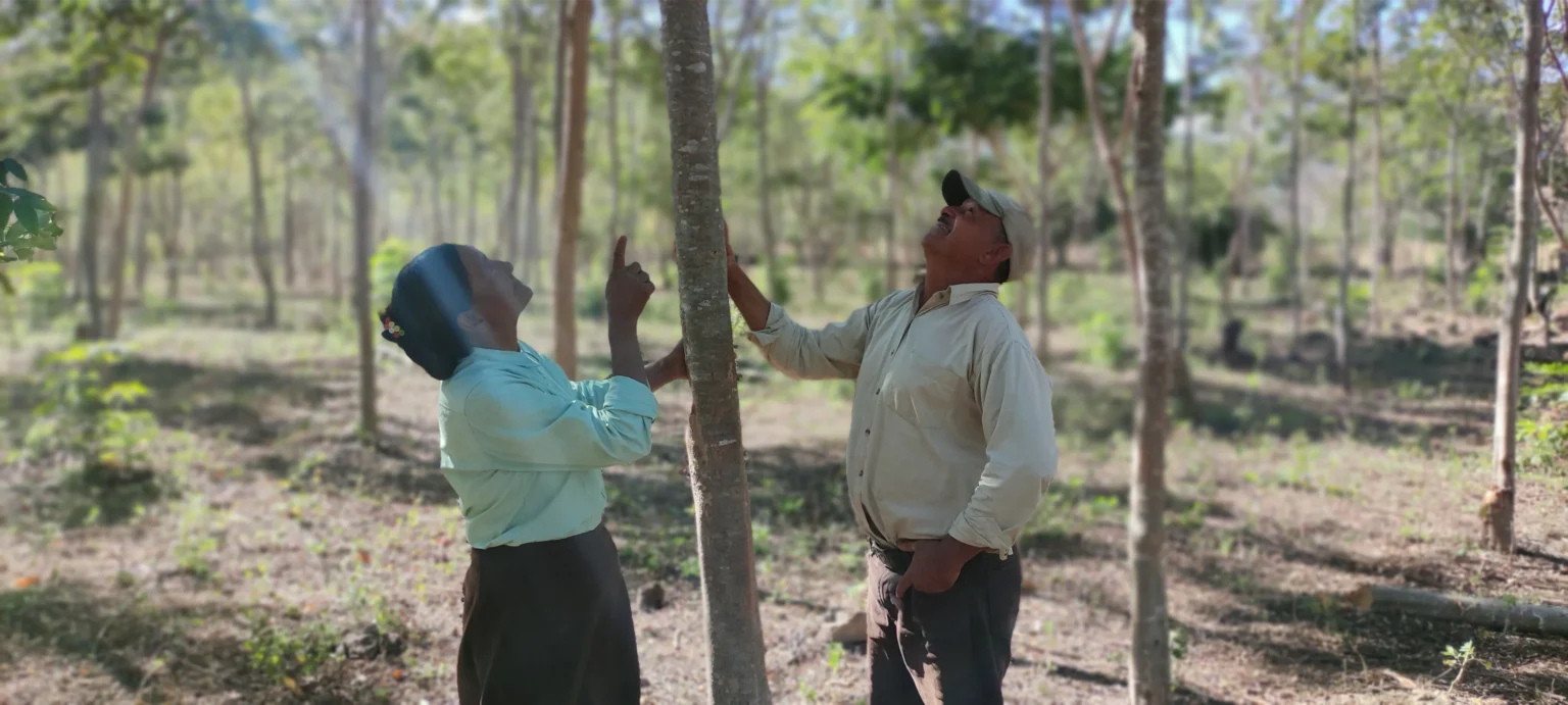 Two CommuniTree smallholders in Nicaragua beside a native hardwood tree they planted.