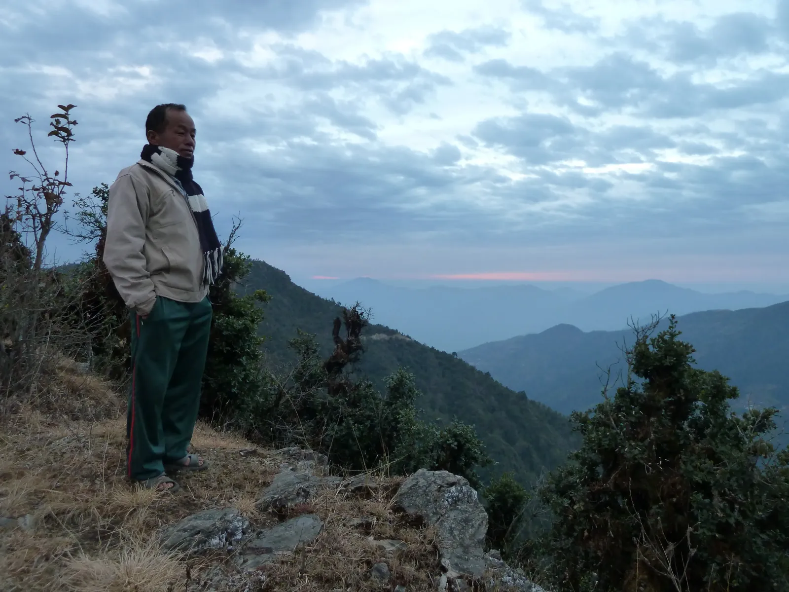 A person looking out over forested Himalayan valleys, reflecting the choices behind Plan Vivo carbon credits